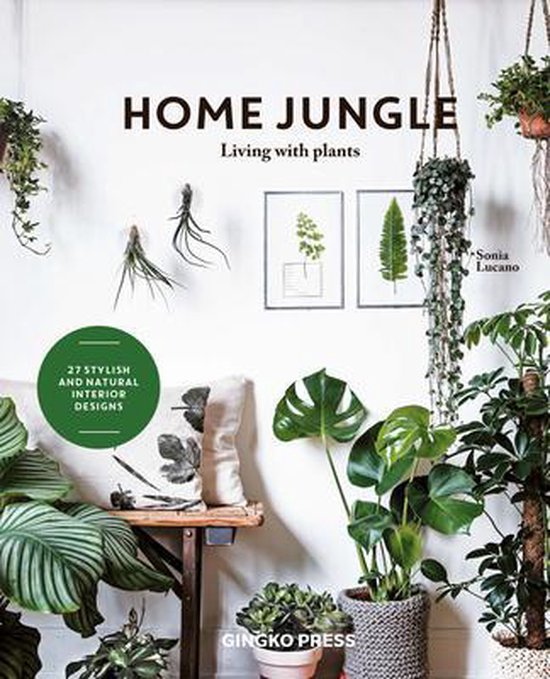 Home Jungle - cover