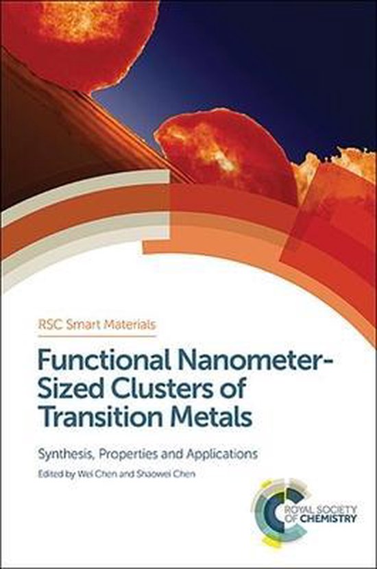 Functional Nanometer-Sized Clusters Of Transition Metals - cover