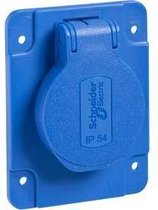 Schneider Electric PKS62B Prise encastrée IP54, IK08 Blauw