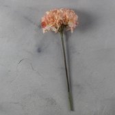 Hortensia roze 50cm