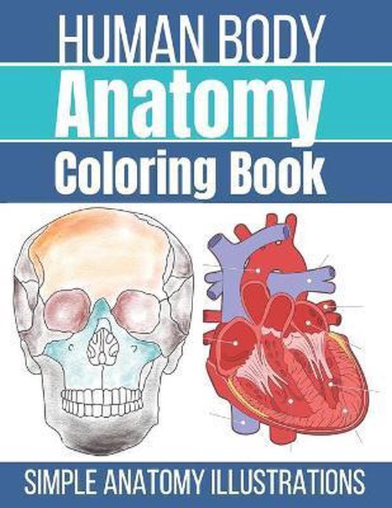 Human Body Anatomy Coloring Book - cover