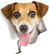 GoedeDoelen.Shop | 3D sticker Jack Russell | Sticker voor Auto, Laptop , Muur, Koelkast | Hond | Jack Russell | Adopt Don't Shop | Weerbestendig