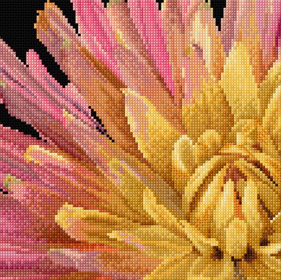 Thea Gouverneur - Borduurpakket met telpatroon - 441A - Voorgesorteerde DMC Garens - Dahlia - Aida - 33 cm x 33 cm - DIY Kit