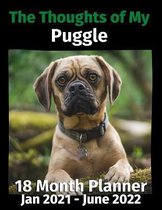 The Thoughts of My Puggle