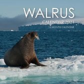 Walrus Calendar 2021