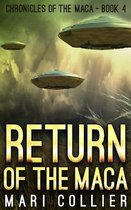 Return of the Maca