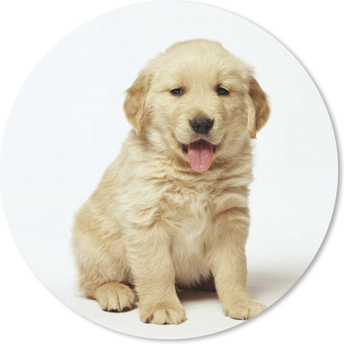 Muismat Golden Retriever - Portretfoto van een donzige Golden Retriever-puppy Muismat rond - 20x20 cm - Muismat met foto