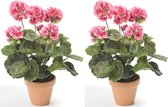 Set van 2x stuks kunstbloemen kunstplant roze Geranium 35 cm met 5 bloem series
