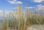 Tuinposter - Zee - Strand in wit / beige / grijs / blauw   - 80 x 120 cm.