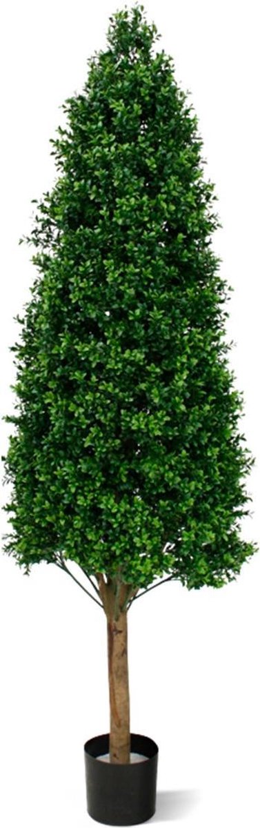 maxifleur Kunstplanten Buxus Tower kunstboom 170cm - UV bestendig Groen