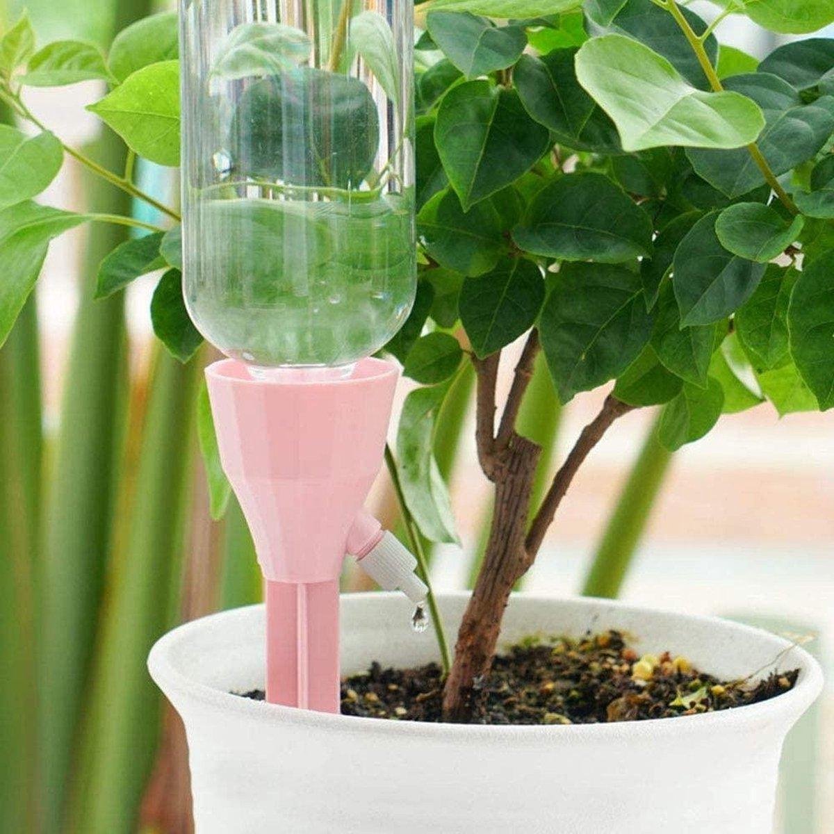 Ensemble de Petits Globes D'irrigation, Système D'irrigation pour Plantes