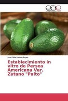 Establecimiento in vitro de Persea Americana Var. Zutano  Palto