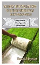 The Most Effective Method to Develop Wheatgrass in Hydroponics