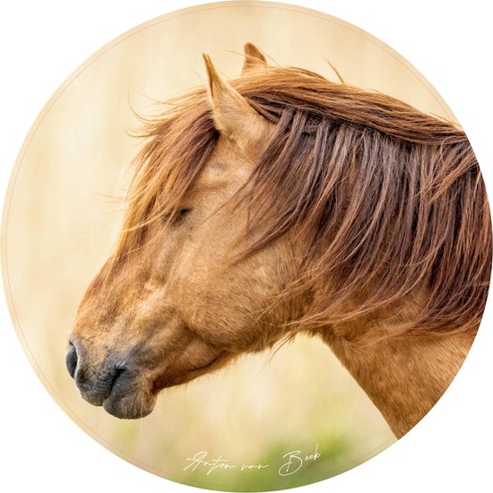 Sticker Muursticker cheval Konik Ø 130 cm