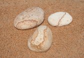 Dibond - Zen - Steen / stenen in wit / beige / bruin  - 50 x 75 cm.