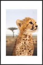 JUNIQE - Poster in kunststof lijst CHEETAH CUB -40x60 /Bruin & Oranje