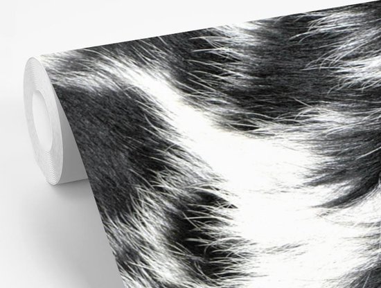 Papier peint Papier peint photo en vinyle - La peau de vache d'une vache longicorne largeur 525 cm x hauteur 350 cm - Tirage photo sur papier peint (disponible en 7 tailles)