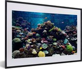 Photo en cadre - Aquarium avec cadre photo poissons tropicaux et coraux noir avec passe-partout blanc 60x40 cm - Affiche sous cadre (Décoration murale salon / chambre)