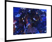Photo dans le cadre - Cadre photo aquarium tropical d'eau de mer noir avec passe-partout blanc grand 90x60 cm - Affiche dans le cadre (Décoration murale salon / chambre)