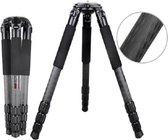 BEXIN ST424C robuuste camcorder groot fotografisch koolstofvezelstatief, max. Buis: 40 mm