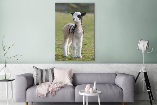 Petite toile blanche avec agneau noir dans l'herbe 120x180 cm - Tirage photo sur toile (Décoration murale salon / chambre) / Animaux de la ferme Peintures sur toile XXL / Grand format!