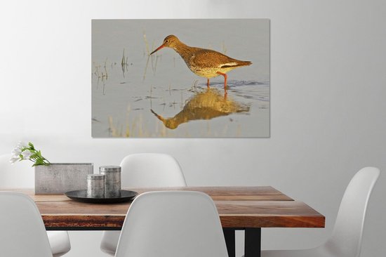 Tureluur in het ondiepe water Canvas 60x40 cm - Foto print op Canvas schilderij (Wanddecoratie woonkamer / slaapkamer)