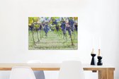 Canvas Schilderij Paarse druif trossen in zonovergoten wijngaard - 90x60 cm - Wanddecoratie