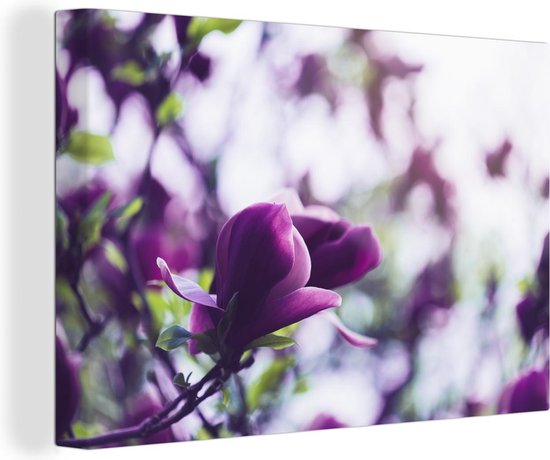 Fleurs de lilas dans la nature Toile 30x20 cm - petit - Tirage photo sur toile (Décoration murale salon / chambre)