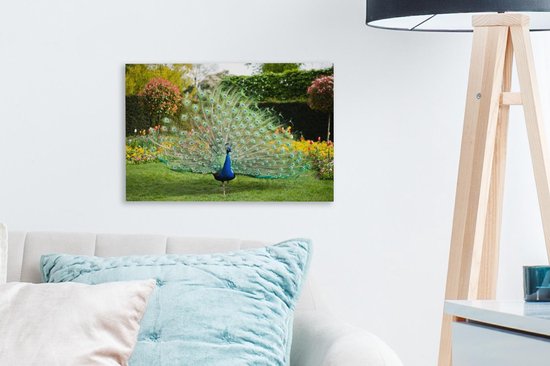 Paon aux plumes étalées dans un jardin Toile 30x20 cm - petit - Tirage photo sur toile (Décoration murale salon / chambre)