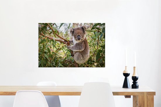 Koala dans un arbre Toile 80x60 cm - Tirage photo sur toile (Décoration murale salon / chambre) / Peintures sur toile Animaux