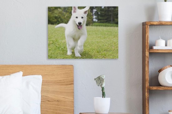 Canvas Schilderij De puppy van een witte Duitse herder - 40x30 cm - Wanddecoratie