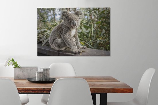 Peintures sur toile - Un koala assis sur une étagère - 90x60 cm - Décoration murale