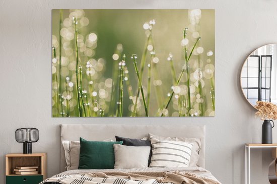 Canvas schilderij 150x100 cm - Wanddecoratie Vroege dauw op grassprieten - Muurdecoratie woonkamer - Slaapkamer decoratie - Kamer accessoires - Schilderijen