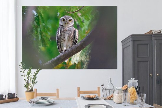 Owl assis sur la branche toile 2cm 150x100 cm - impression photo sur toile peinture (Décoration murale salon / chambre à coucher) / Animaux sauvages Peintures Toile