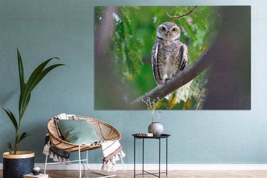 Owl assis sur la branche toile 2cm 150x100 cm - impression photo sur toile peinture (Décoration murale salon / chambre à coucher) / Animaux sauvages Peintures Toile