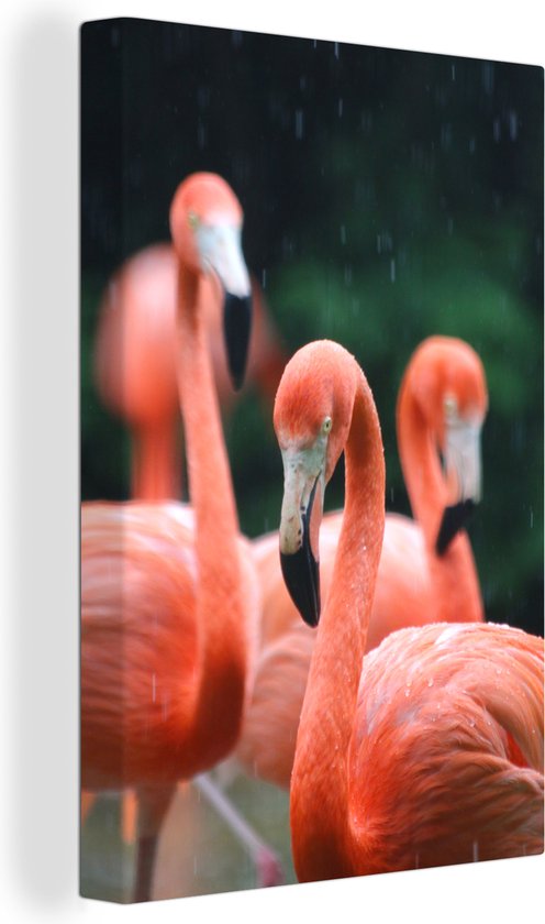 Canvas Schilderij Flamingo's in de regen - 40x60 cm - Wanddecoratie