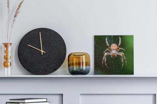Tableau sur toile Portrait d'une araignée - 20x20 cm - Décoration murale