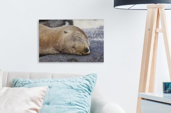 Tableau sur toile Gros plan - Animaux - Pierres - 30x20 cm - Décoration murale