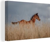 Canvas Schilderij Paard - Lucht - Gras - 90x60 cm - Wanddecoratie
