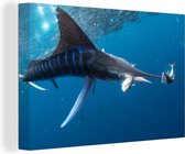 Toile Peinture Espadon - Blauw - Water - 120x80 cm - Décoration murale