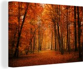 Forêt d'automne de conte de fées avec toile de couleurs rouges 2cm 120x80 cm - Tirage photo sur toile (Décoration murale salon / chambre)