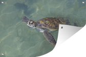Tuindecoratie Schildpad zwemt in het water - 60x40 cm - Tuinposter - Tuindoek - Buitenposter