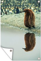 Tuindecoratie Pinguïn - Water - Reflectie - Vacht - 40x60 cm - Tuinposter - Tuindoek - Buitenposter