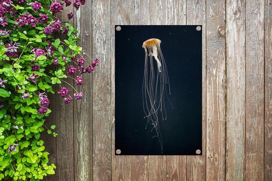 Méduse sur fond sombre affiche de jardin toile en vrac 60x90 cm - Toile de jardin / Toile d'extérieur / Peintures pour l'extérieur (décoration de jardin)