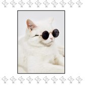 EPIN | Kattenbril | Zonnebril Voor Katten | Huisdier Zonnebril |Cat Sunglasses | Dieren Bril