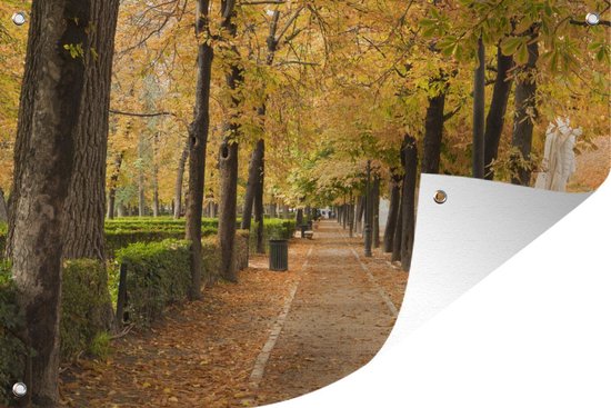 Tuinposters buiten Herfstbladeren in het Buen Retiro Park in Madrid - 90x60 cm - Tuindoek - Buitenposter