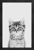 JUNIQE - Poster in houten lijst Kitten Classic -30x45 /Wit & Zwart