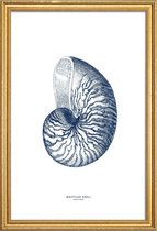 JUNIQE - Poster met houten lijst Nautilus Shell II -13x18 /Blauw & Wit