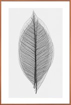 JUNIQE - Poster met kunststof lijst Skeleton of a Leaf -20x30 /Wit &