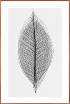 JUNIQE - Poster met kunststof lijst Skeleton of a Leaf -30x45 /Wit &